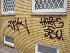 Graffitientfernung an einer Hauswand - Vorher